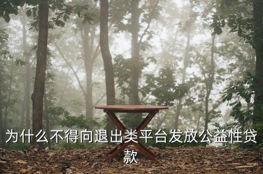 什么是退出類融資平臺(tái)，為什么不得向退出類平臺(tái)發(fā)放公益性貸款