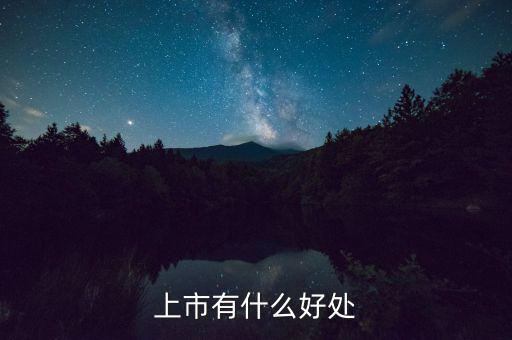 上市有什么好處，上市公司有什么好處