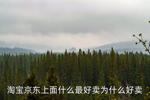 淘寶京東上面什么最好賣(mài)為什么好賣(mài)