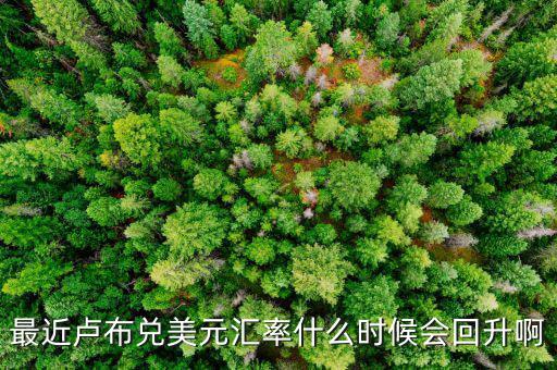盧布什么時候能回升，最近盧布兌美元匯率什么時候會回升啊