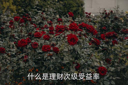 次級(jí)收益是什么，什么是理財(cái)次級(jí)受益率