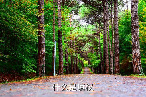 什么是填權和除權，除權和填權是什么意思說的通俗點不要復制別人的