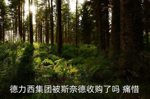 德力西什么時(shí)候被收購的，德力西集團(tuán)被斯奈德收購了嗎 痛惜