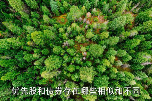 境外優(yōu)先股是什么，優(yōu)先股試點(diǎn)是什么說的詳細(xì)點(diǎn)