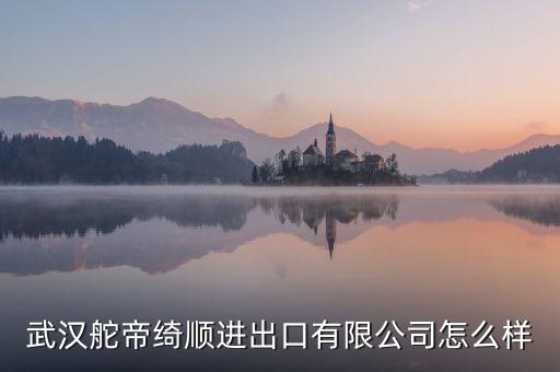 漢口北電商集團怎么樣,阿里巴巴在國內(nèi)創(chuàng)辦第一所淘寶商學院
