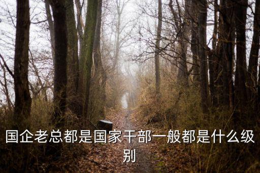 國企老總都是國家干部一般都是什么級(jí)別