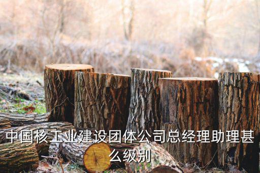 中國核工業(yè)集團什么級別，中國核工業(yè)建設團體公司總經理助理甚么級別