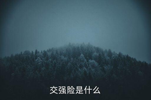 交強險是什么
