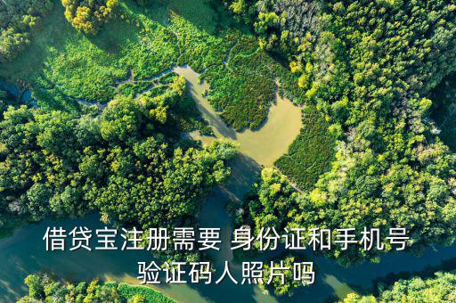  借貸寶注冊需要 身份證和手機號 驗證碼人照片嗎