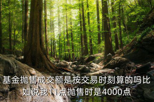 基金拋售成交額是按交易時(shí)刻算的嗎比如說(shuō)我11點(diǎn)拋售時(shí)是4000點(diǎn)