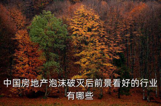 房地產(chǎn)泡沫后什么行業(yè)賺錢，如果真有一天中國房地產(chǎn)泡沫破了我們做點(diǎn)什么賺錢呢或者說有