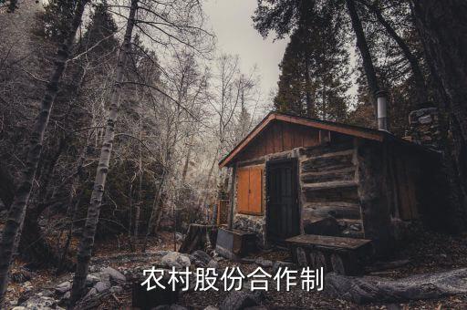 什么是農(nóng)民股份合作，什么叫農(nóng)村經(jīng)濟合作股份制