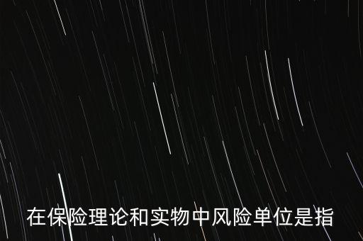 在保險理論和實物中風險單位是指