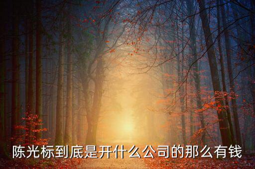 陳光標(biāo)到底是開(kāi)什么公司的那么有錢