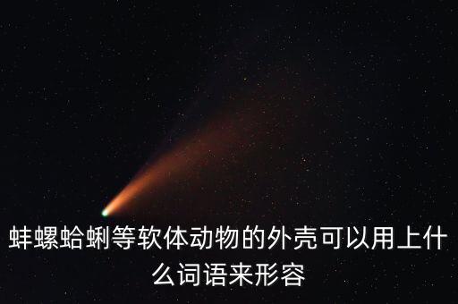 蚌螺蛤蜊等軟體動物的外殼可以用上什么詞語來形容