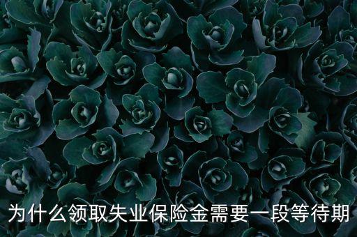 失業(yè)保險為什么應設等待期限，為什么領(lǐng)取失業(yè)保險金需要一段等待期
