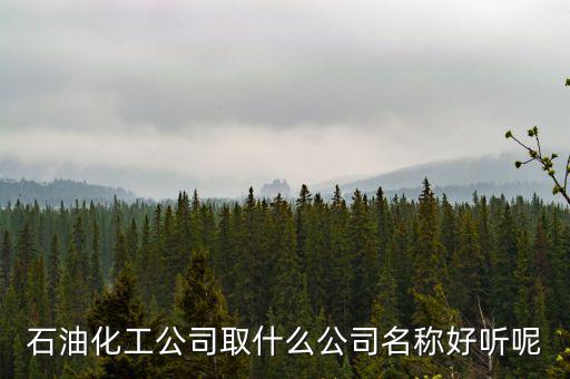 石油化工公司取什么公司名稱好聽(tīng)呢