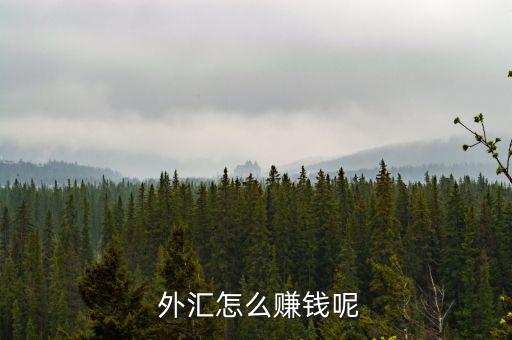  外匯怎么賺錢(qián)呢