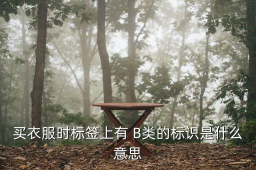 買衣服時(shí)標(biāo)簽上有 B類的標(biāo)識是什么意思