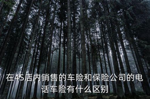 在4S店內銷售的車險和保險公司的電話車險有什么區(qū)別