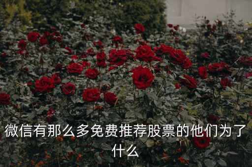 免費(fèi)股票為什么，微信有那么多免費(fèi)推薦股票的他們?yōu)榱耸裁?/></a></span><span id=