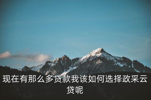 政采貸是什么意思，建設銀行政采云貸是什么