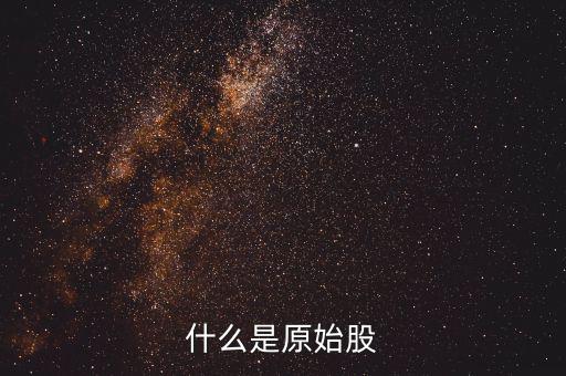 公司原始股是什么，什么是原始股怎樣買(mǎi)原始股