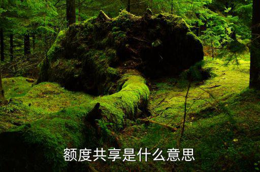 額度共享是什么意思，共享額度是什么意思