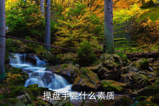 操盤手有什么要求，操盤手要什么素質