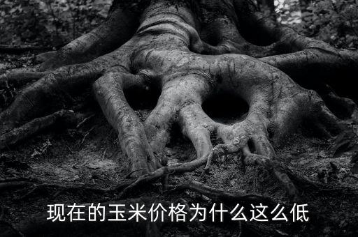 現(xiàn)在為什么糧食價(jià)格低，為什么糧食越來(lái)越便宜