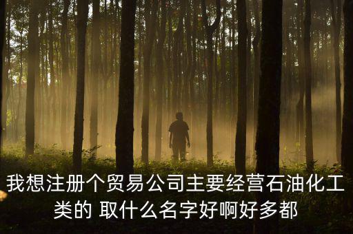 我想注冊(cè)個(gè)貿(mào)易公司主要經(jīng)營(yíng)石油化工類的 取什么名字好啊好多都