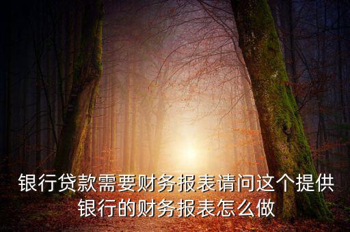  銀行貸款需要財務報表請問這個提供 銀行的財務報表怎么做