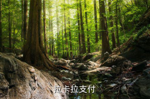 拉卡拉便利支付是什么，什么是銀聯(lián)拉卡啦支付