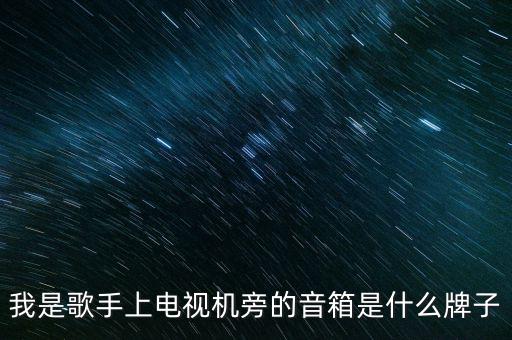 我是歌手上電視機(jī)旁的音箱是什么牌子