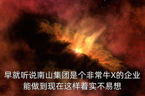 南山集團(tuán)對(duì)南山村的作用有什么，南山村的介紹