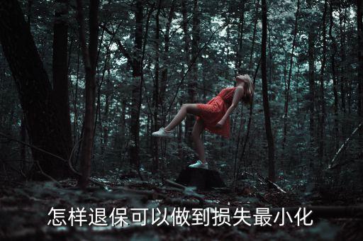 怎樣退?？梢宰龅綋p失最小化