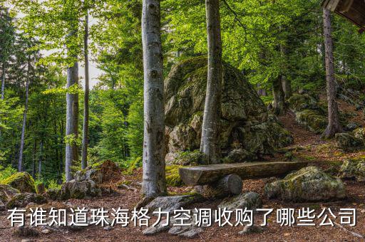 格力收購什么，有誰知道珠海格力空調(diào)收購了哪些公司