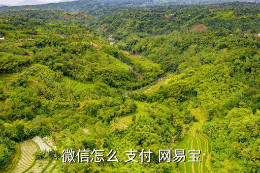 網(wǎng)易云怎么微信支付,網(wǎng)易云能微信支付怎么用