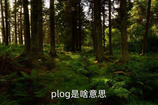 airbnb是什么意思，booking是什么意思