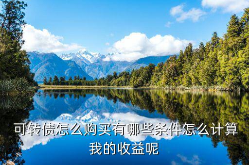 三一可轉債怎么買,如何購買可轉債?