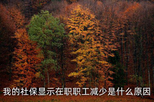 社保突然降了是什么原因，我的社保顯示在職職工減少是什么原因