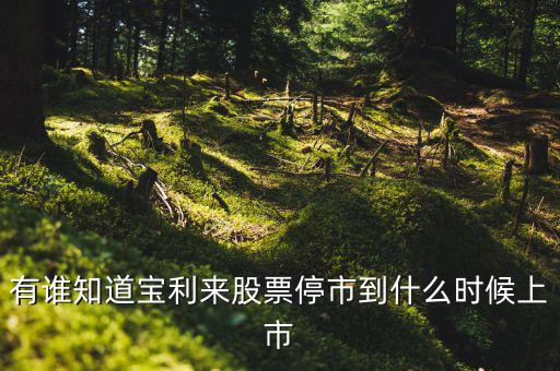 寶利來(lái)什么時(shí)候成為st股的，正常的股票變成st的具體時(shí)間