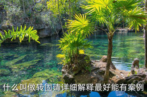什么叫做轉固請詳細解釋最好能有案例