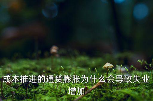 成本推進的通貨膨脹為什么會導致失業(yè)增加
