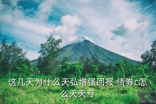廣發(fā)純債債券c怎么下跌這么多,股市不好時(shí)候債券基金也會跌