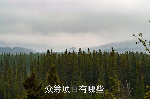 眾籌項(xiàng)目有哪些
