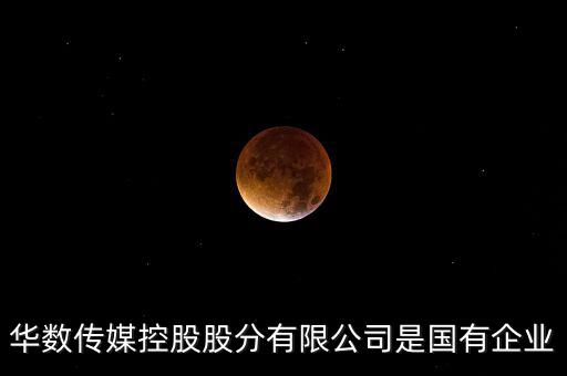華數(shù)傳媒控股股分有限公司是國(guó)有企業(yè)