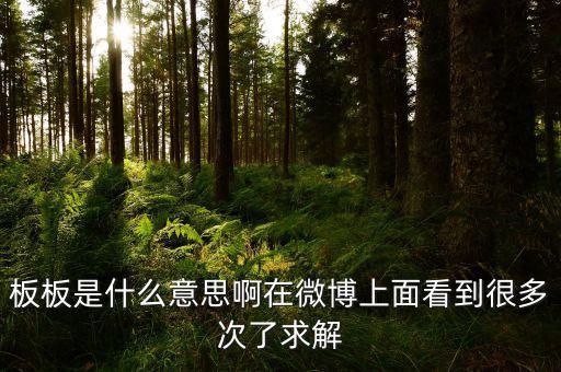 要板了是什么意思，板板是什么意思啊在微博上面看到很多次了求解