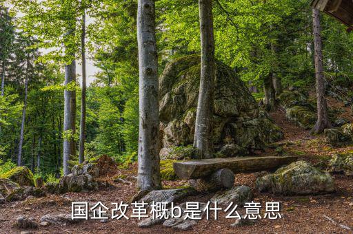 國(guó)企改b是什么，國(guó)企改革概b是什么意思