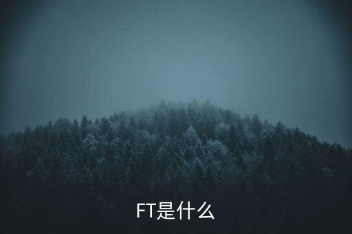 什么是FT調(diào)查，F(xiàn)T是什么